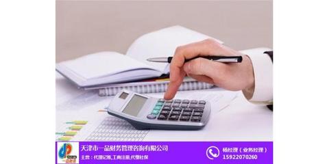 西青财务外包与财务咨询 天津银星账务如何助力企业高效财务管理